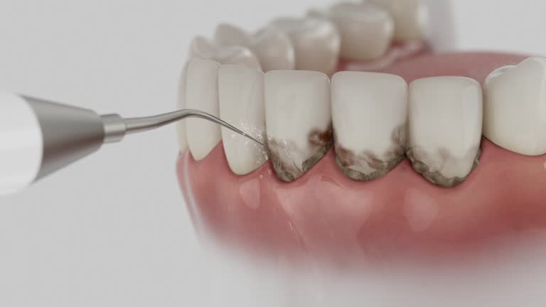Reliable Dental contractor in Charlotte, TN by Dentist Open Now